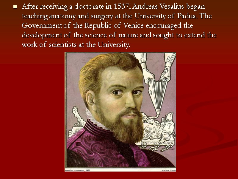 After receiving a doctorate in 1537, Andreas Vesalius began teaching anatomy and surgery at